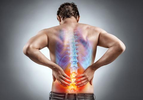 Physiotherapy Physiotherapy